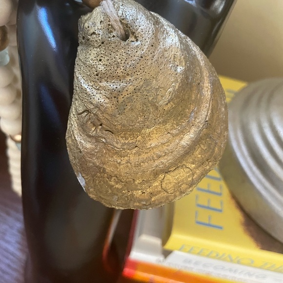 Chic Cream and Gold Beaded Sea Shell Necklace - Picture 6 of 8